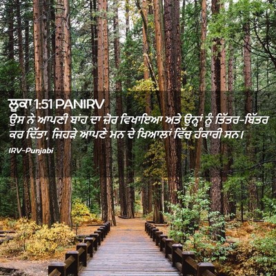 Picture 02 - ਲੂਕਾ 1:51 PANIRV - ਉਸ ਨੇ ਆਪਣੀ ਬਾਂਹ ਦਾ - Bible Verse Picture