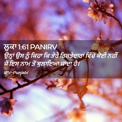 Picture 02 - ਲੂਕਾ 1:61 PANIRV - ਉਨ੍ਹਾਂ ਉਸ ਨੂੰ ਕਿਹਾ - Bible Verse Picture