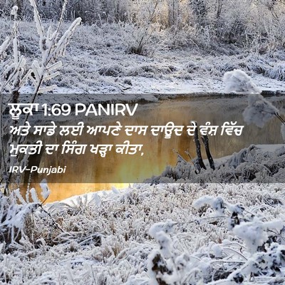 Picture 02 - ਲੂਕਾ 1:69 PANIRV - ਅਤੇ ਸਾਡੇ ਲਈ ਆਪਣੇ - Bible Verse Picture