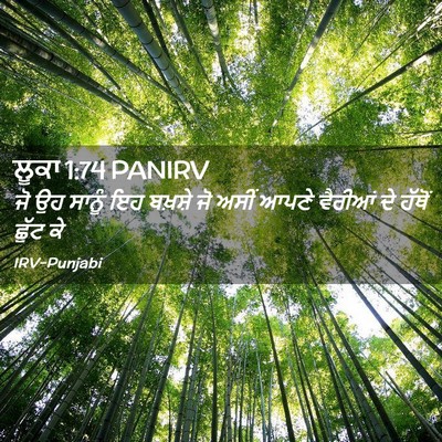 Picture 02 - ਲੂਕਾ 1:74 PANIRV - ਜੋ ਉਹ ਸਾਨੂੰ ਇਹ - Bible Verse Picture