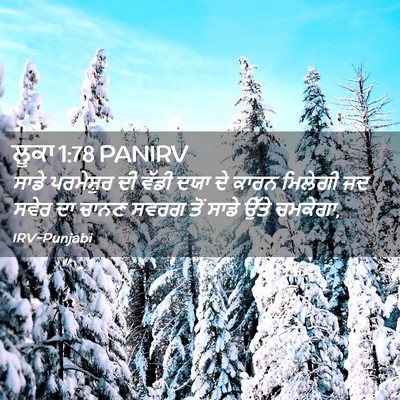 Picture 02 - ਲੂਕਾ 1:78 PANIRV - ਸਾਡੇ ਪਰਮੇਸ਼ੁਰ ਦੀ - Bible Verse Picture