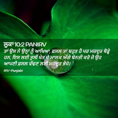 Picture 02 - ਲੂਕਾ 10:2 PANIRV - ਤਾਂ ਉਸ ਨੇ ਉਨ੍ਹਾਂ - Bible Verse Picture