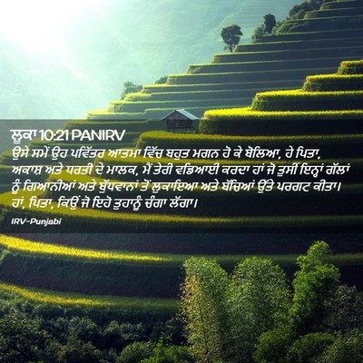 Picture 02 - ਲੂਕਾ 10:21 PANIRV - ਉਸੇ ਸਮੇਂ ਉਹ ਪਵਿੱਤਰ - Bible Verse Picture