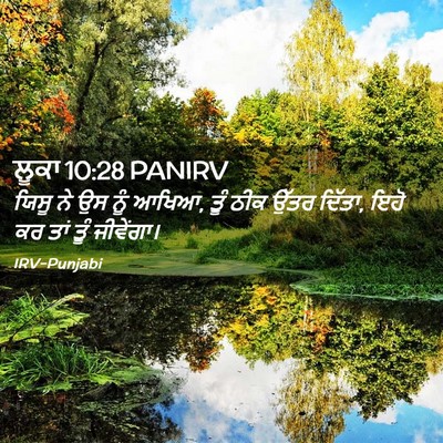 Picture 02 - ਲੂਕਾ 10:28 PANIRV - ਯਿਸੂ ਨੇ ਉਸ ਨੂੰ - Bible Verse Picture