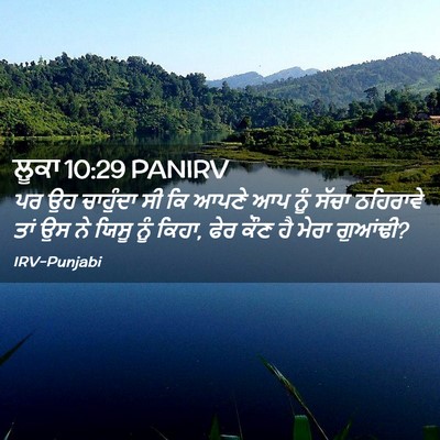 Picture 02 - ਲੂਕਾ 10:29 PANIRV - ਪਰ ਉਹ ਚਾਹੁੰਦਾ ਸੀ ਕਿ - Bible Verse Picture