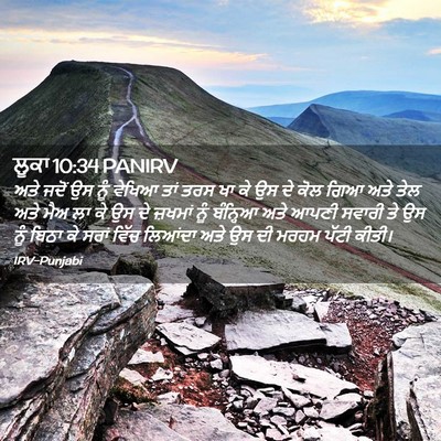 Picture 02 - ਲੂਕਾ 10:34 PANIRV - ਅਤੇ ਜਦੋਂ ਉਸ ਨੂੰ - Bible Verse Picture