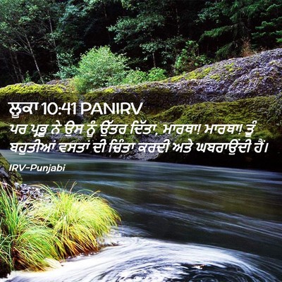 Picture 02 - ਲੂਕਾ 10:41 PANIRV - ਪਰ ਪ੍ਰਭੂ ਨੇ ਉਸ ਨੂੰ - Bible Verse Picture