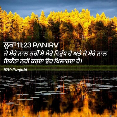 Picture 02 - ਲੂਕਾ 11:23 PANIRV - ਜੋ ਮੇਰੇ ਨਾਲ ਨਹੀਂ ਸੋ - Bible Verse Picture