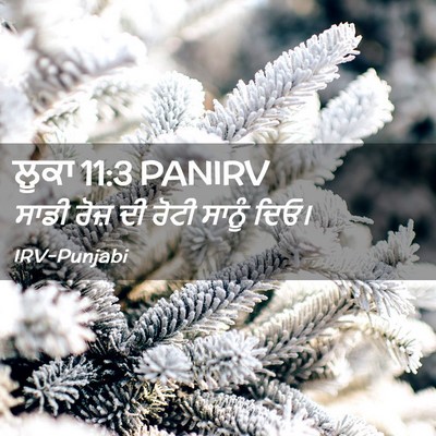 Picture 02 - ਲੂਕਾ 11:3 PANIRV - ਸਾਡੀ ਰੋਜ਼ ਦੀ ਰੋਟੀ - Bible Verse Picture
