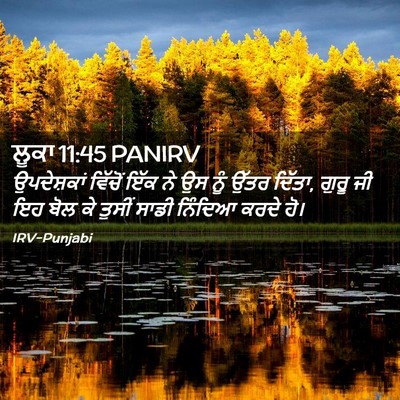Picture 02 - ਲੂਕਾ 11:45 PANIRV - ਉਪਦੇਸ਼ਕਾਂ ਵਿੱਚੋਂ - Bible Verse Picture