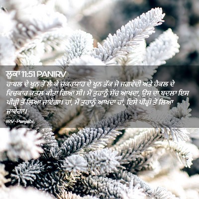 Picture 02 - ਲੂਕਾ 11:51 PANIRV - ਹਾਬਲ ਦੇ ਖੂਨ ਤੋਂ ਲੈ - Bible Verse Picture