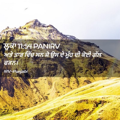Picture 02 - ਲੂਕਾ 11:54 PANIRV - ਅਤੇ ਤਾੜ ਵਿੱਚ ਸਨ ਜੋ - Bible Verse Picture