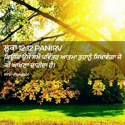Picture 02 - ਲੂਕਾ 12:12 PANIRV - ਕਿਉਂਕਿ ਉਸੇ ਸਮੇਂ - Bible Verse Picture