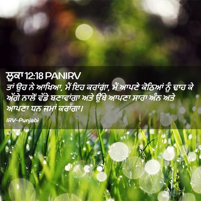 Picture 02 - ਲੂਕਾ 12:18 PANIRV - ਤਾਂ ਉਹ ਨੇ ਆਖਿਆ, ਮੈਂ - Bible Verse Picture