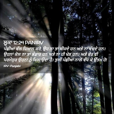 Picture 02 - ਲੂਕਾ 12:24 PANIRV - ਪੰਛੀਆਂ ਵੱਲ ਧਿਆਨ - Bible Verse Picture