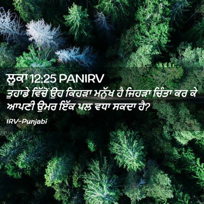 Picture 02 - ਲੂਕਾ 12:25 PANIRV - ਤੁਹਾਡੇ ਵਿੱਚੋਂ ਉਹ - Bible Verse Picture