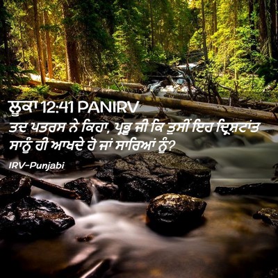 Picture 02 - ਲੂਕਾ 12:41 PANIRV - ਤਦ ਪਤਰਸ ਨੇ ਕਿਹਾ, - Bible Verse Picture