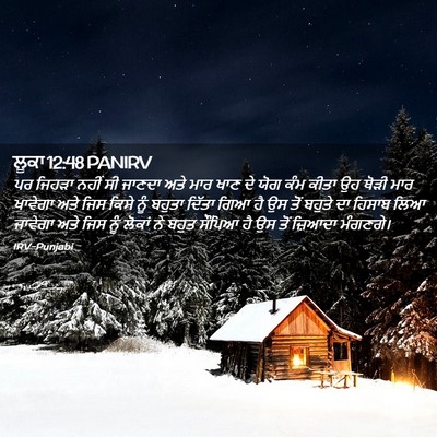 Picture 02 - ਲੂਕਾ 12:48 PANIRV - ਪਰ ਜਿਹੜਾ ਨਹੀਂ ਸੀ - Bible Verse Picture