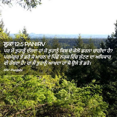 Picture 02 - ਲੂਕਾ 12:5 PANIRV - ਪਰ ਮੈਂ ਤੁਹਾਨੂੰ - Bible Verse Picture