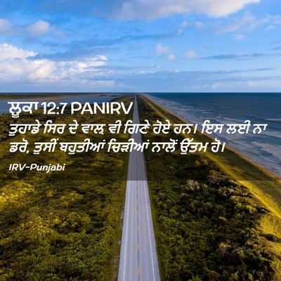 Picture 02 - ਲੂਕਾ 12:7 PANIRV - ਤੁਹਾਡੇ ਸਿਰ ਦੇ ਵਾਲ਼ - Bible Verse Picture
