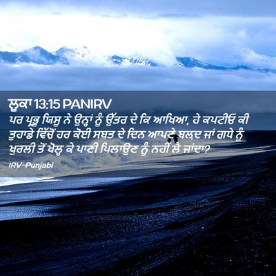 Picture 02 - ਲੂਕਾ 13:15 PANIRV - ਪਰ ਪ੍ਰਭੂ ਯਿਸੂ ਨੇ - Bible Verse Picture