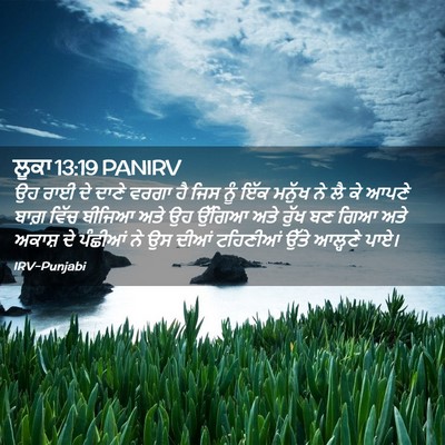 Picture 02 - ਲੂਕਾ 13:19 PANIRV - ਉਹ ਰਾਈ ਦੇ ਦਾਣੇ ਵਰਗਾ - Bible Verse Picture