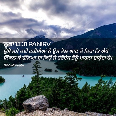 Picture 02 - ਲੂਕਾ 13:31 PANIRV - ਉਸੇ ਸਮੇਂ ਕਈ - Bible Verse Picture