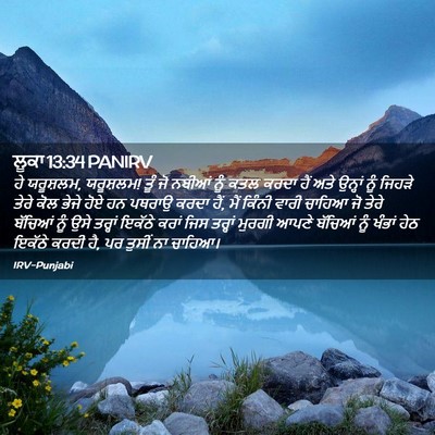 Picture 02 - ਲੂਕਾ 13:34 PANIRV - ਹੇ ਯਰੂਸ਼ਲਮ, - Bible Verse Picture