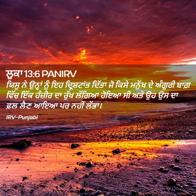 Picture 02 - ਲੂਕਾ 13:6 PANIRV - ਯਿਸੂ ਨੇ ਉਨ੍ਹਾਂ ਨੂੰ - Bible Verse Picture