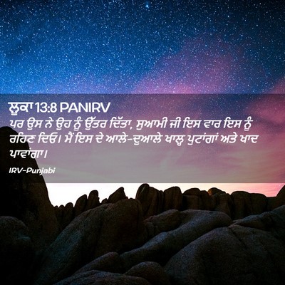 Picture 02 - ਲੂਕਾ 13:8 PANIRV - ਪਰ ਉਸ ਨੇ ਉਹ ਨੂੰ - Bible Verse Picture