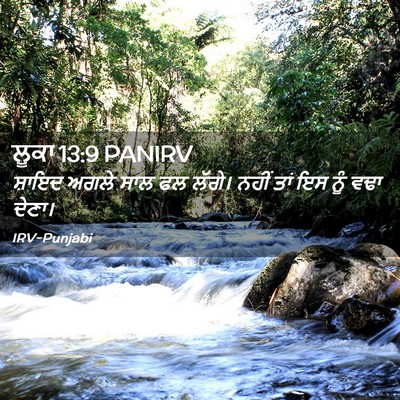 Picture 02 - ਲੂਕਾ 13:9 PANIRV - ਸ਼ਾਇਦ ਅਗਲੇ ਸਾਲ ਫਲ - Bible Verse Picture