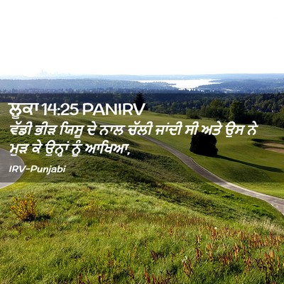 Picture 02 - ਲੂਕਾ 14:25 PANIRV - ਵੱਡੀ ਭੀੜ ਯਿਸੂ ਦੇ - Bible Verse Picture