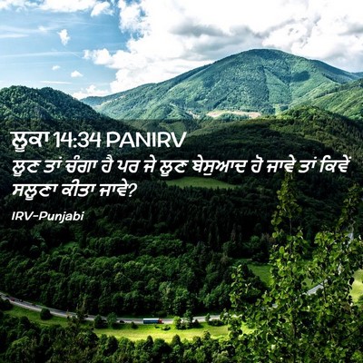 Picture 02 - ਲੂਕਾ 14:34 PANIRV - ਲੂਣ ਤਾਂ ਚੰਗਾ ਹੈ ਪਰ - Bible Verse Picture