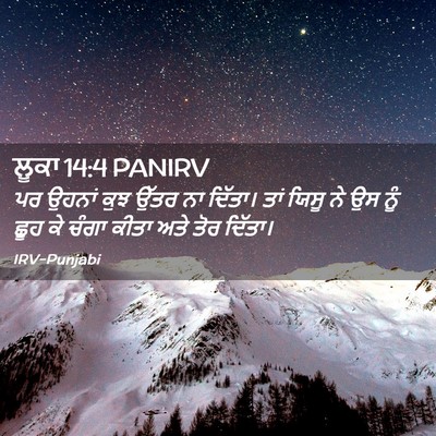 Picture 02 - ਲੂਕਾ 14:4 PANIRV - ਪਰ ਉਹਨਾਂ ਕੁਝ ਉੱਤਰ - Bible Verse Picture