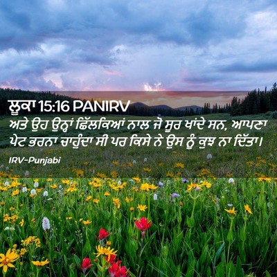 Picture 02 - ਲੂਕਾ 15:16 PANIRV - ਅਤੇ ਉਹ ਉਨ੍ਹਾਂ - Bible Verse Picture