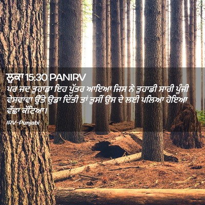 Picture 02 - ਲੂਕਾ 15:30 PANIRV - ਪਰ ਜਦ ਤੁਹਾਡਾ ਇਹ - Bible Verse Picture