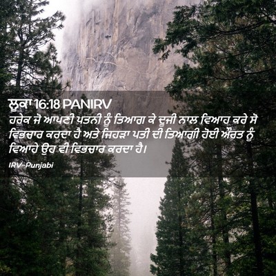 Picture 02 - ਲੂਕਾ 16:18 PANIRV - ਹਰੇਕ ਜੋ ਆਪਣੀ ਪਤਨੀ - Bible Verse Picture