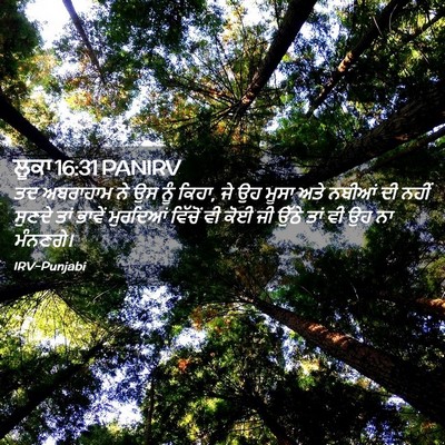 Picture 02 - ਲੂਕਾ 16:31 PANIRV - ਤਦ ਅਬਰਾਹਾਮ ਨੇ ਉਸ - Bible Verse Picture