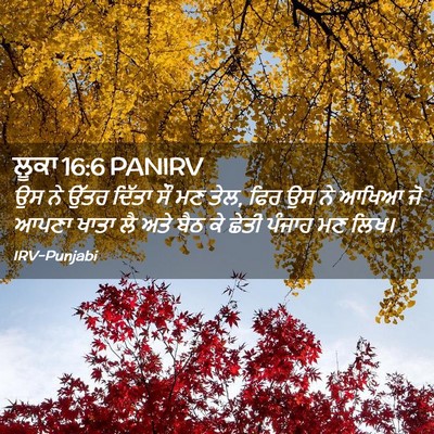 Picture 02 - ਲੂਕਾ 16:6 PANIRV - ਉਸ ਨੇ ਉੱਤਰ ਦਿੱਤਾ ਸੌ - Bible Verse Picture