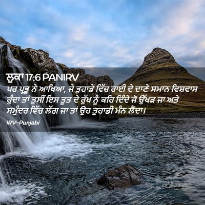 Picture 02 - ਲੂਕਾ 17:6 PANIRV - ਪਰ ਪ੍ਰਭੂ ਨੇ ਆਖਿਆ, - Bible Verse Picture