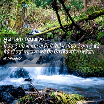 Picture 02 - ਲੂਕਾ 18:17 PANIRV - ਮੈਂ ਤੁਹਾਨੂੰ ਸੱਚ - Bible Verse Picture