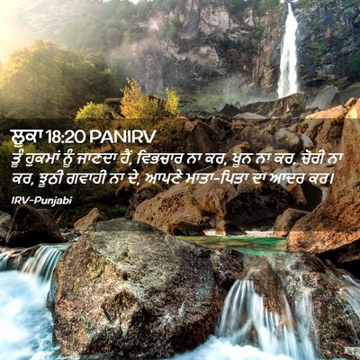 Picture 02 - ਲੂਕਾ 18:20 PANIRV - ਤੂੰ ਹੁਕਮਾਂ ਨੂੰ - Bible Verse Picture