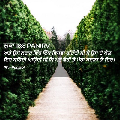 Picture 02 - ਲੂਕਾ 18:3 PANIRV - ਅਤੇ ਉਸੇ ਨਗਰ ਵਿੱਚ - Bible Verse Picture