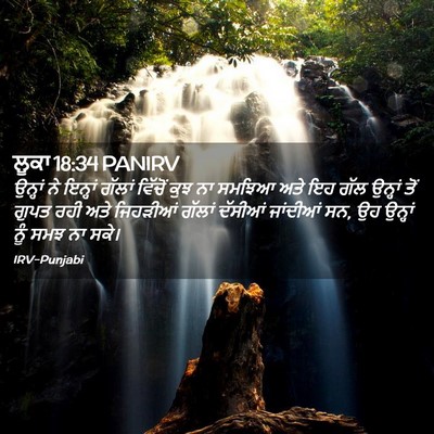 Picture 02 - ਲੂਕਾ 18:34 PANIRV - ਉਨ੍ਹਾਂ ਨੇ ਇਨ੍ਹਾਂ - Bible Verse Picture