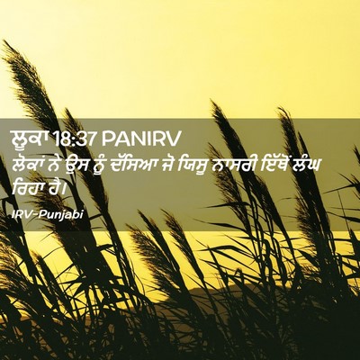 Picture 02 - ਲੂਕਾ 18:37 PANIRV - ਲੋਕਾਂ ਨੇ ਉਸ ਨੂੰ - Bible Verse Picture