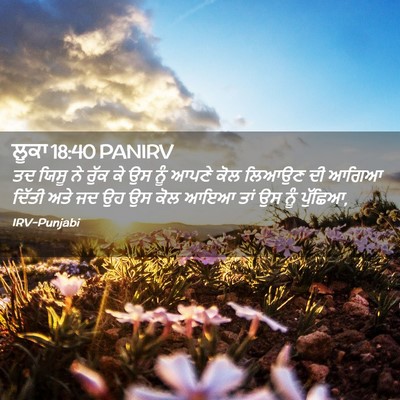 Picture 02 - ਲੂਕਾ 18:40 PANIRV - ਤਦ ਯਿਸੂ ਨੇ ਰੁੱਕ ਕੇ - Bible Verse Picture