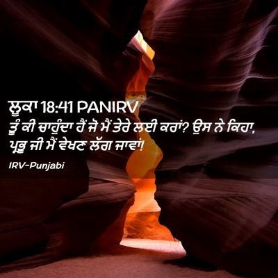 Picture 02 - ਲੂਕਾ 18:41 PANIRV - ਤੂੰ ਕੀ ਚਾਹੁੰਦਾ ਹੈਂ - Bible Verse Picture