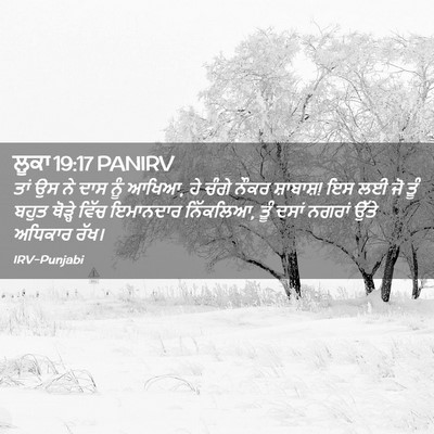 Picture 02 - ਲੂਕਾ 19:17 PANIRV - ਤਾਂ ਉਸ ਨੇ ਦਾਸ ਨੂੰ - Bible Verse Picture