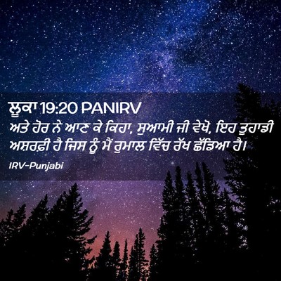 Picture 02 - ਲੂਕਾ 19:20 PANIRV - ਅਤੇ ਹੋਰ ਨੇ ਆਣ ਕੇ - Bible Verse Picture
