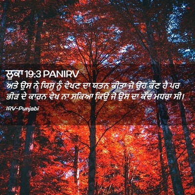 Picture 02 - ਲੂਕਾ 19:3 PANIRV - ਅਤੇ ਉਸ ਨੇ ਯਿਸੂ ਨੂੰ - Bible Verse Picture